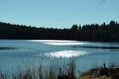 pond_sun
