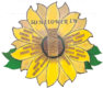 Ward Pond - Sunflower Lane